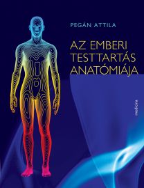 Az emberi testtartás anatómiája
